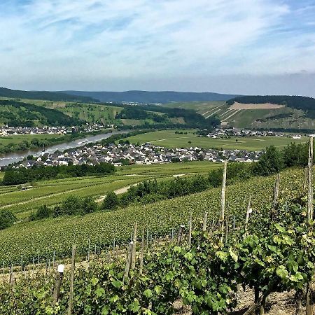 Gastehaus Hoffmann Bed & Breakfast Farschweiler Bagian luar foto