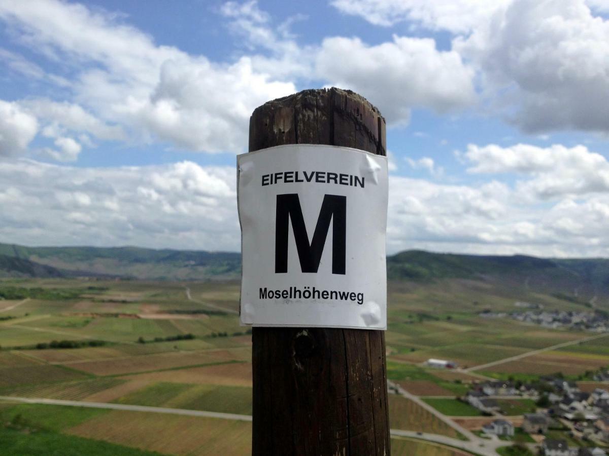 Gaestehaus Hoffmann Farschweiler Bagian luar foto