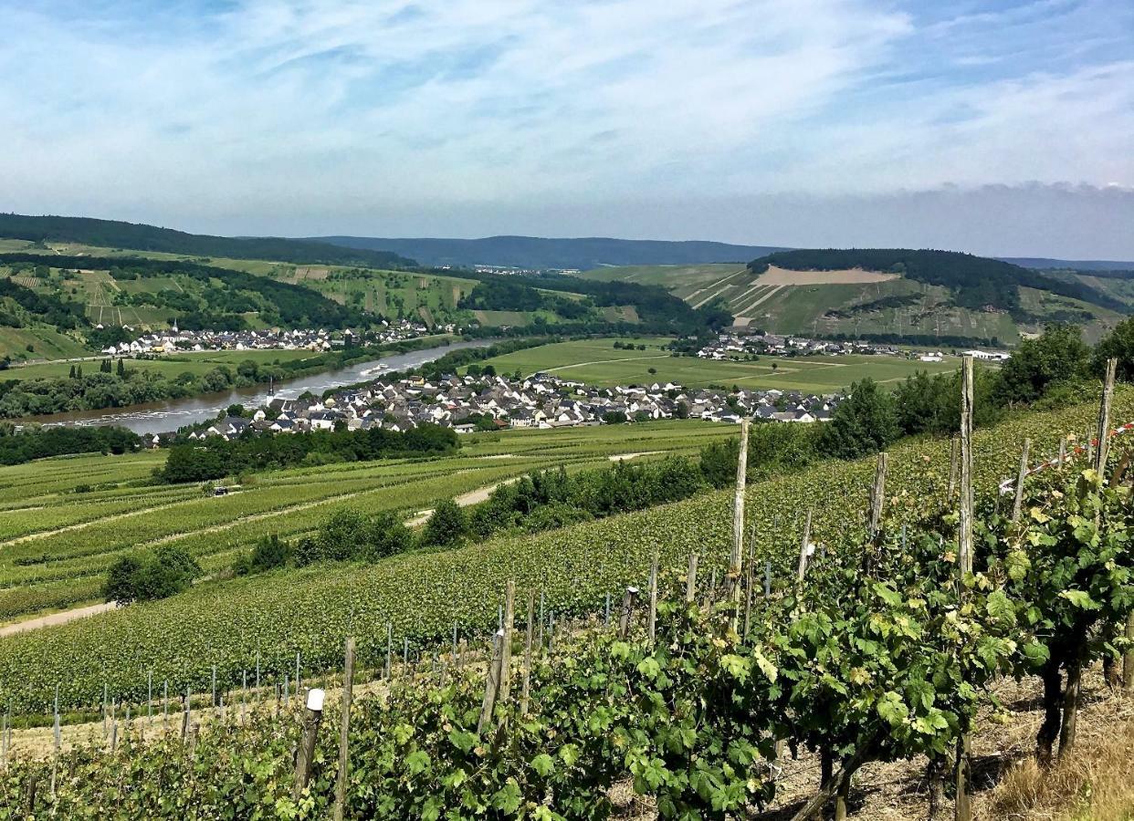 Gaestehaus Hoffmann Farschweiler Bagian luar foto