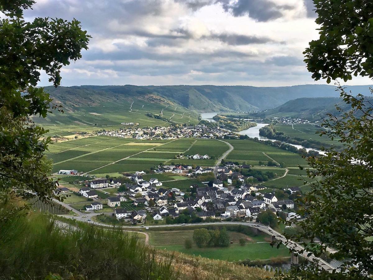 Gastehaus Hoffmann Bed & Breakfast Farschweiler Bagian luar foto